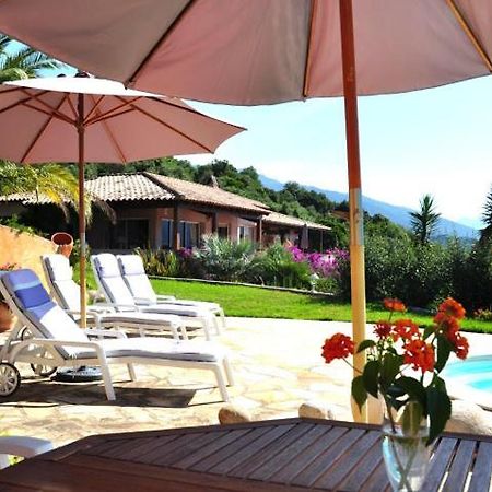 Villa Vetricella Corse Sud Olmeto  Buitenkant foto
