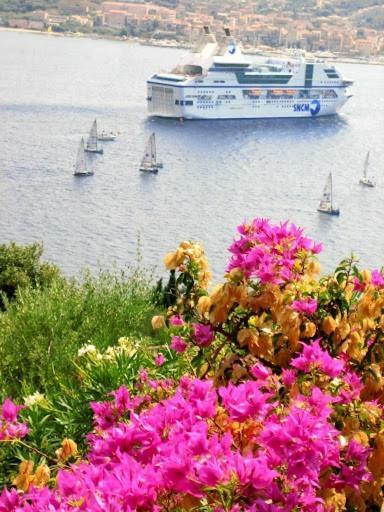 Villa Vetricella Corse Sud Olmeto  Buitenkant foto