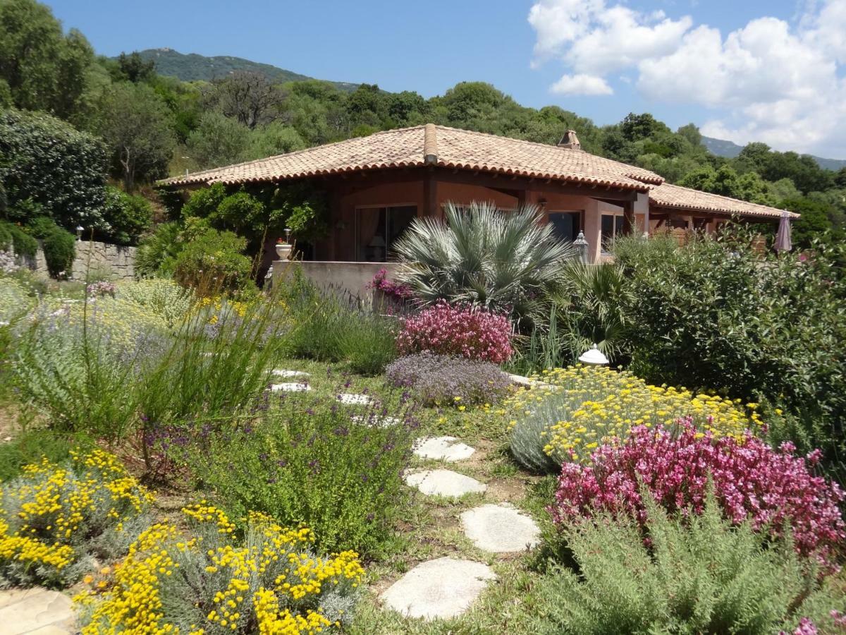 Villa Vetricella Corse Sud Olmeto  Buitenkant foto