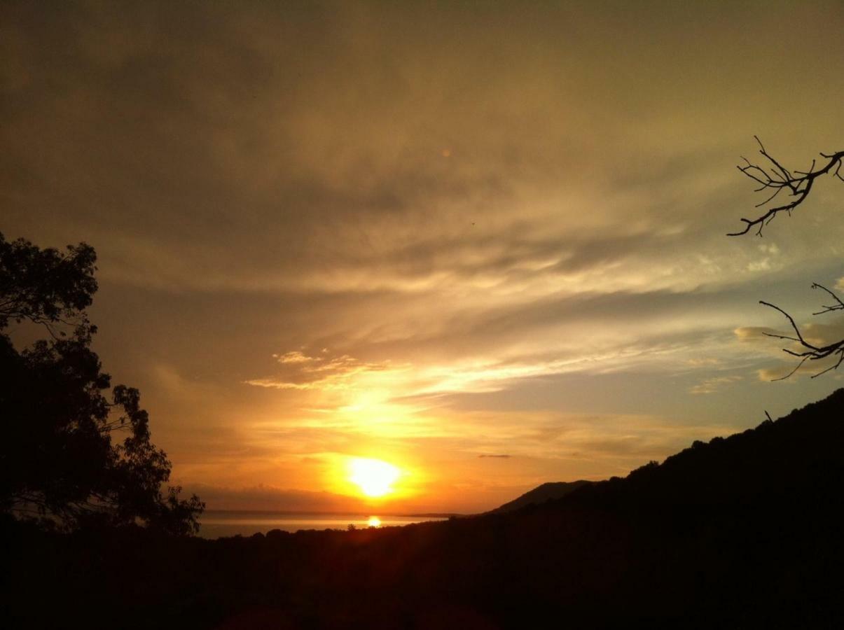 Villa Vetricella Corse Sud Olmeto  Buitenkant foto